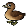 Pied-billed Grebe
