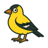 American Goldfinch
