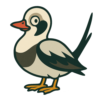 Long-tailed Duck