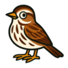 Song Sparrow