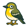 White-eyed Vireo