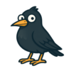 American Crow