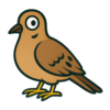 Mourning Dove