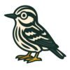 Black-and-white Warbler