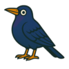 Common Grackle