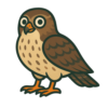Broad-winged Hawk