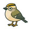 Golden-crowned Kinglet