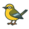 Blue-winged Warbler