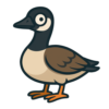 Canada Goose