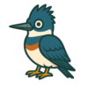 Belted Kingfisher