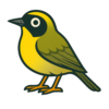 Common Yellowthroat