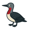 Red-throated Loon