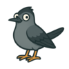 Gray Catbird