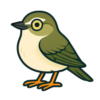 Warbling Vireo